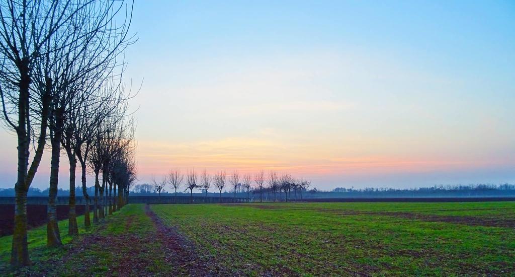 Agriturismo Paradiso Sarego Экстерьер фото